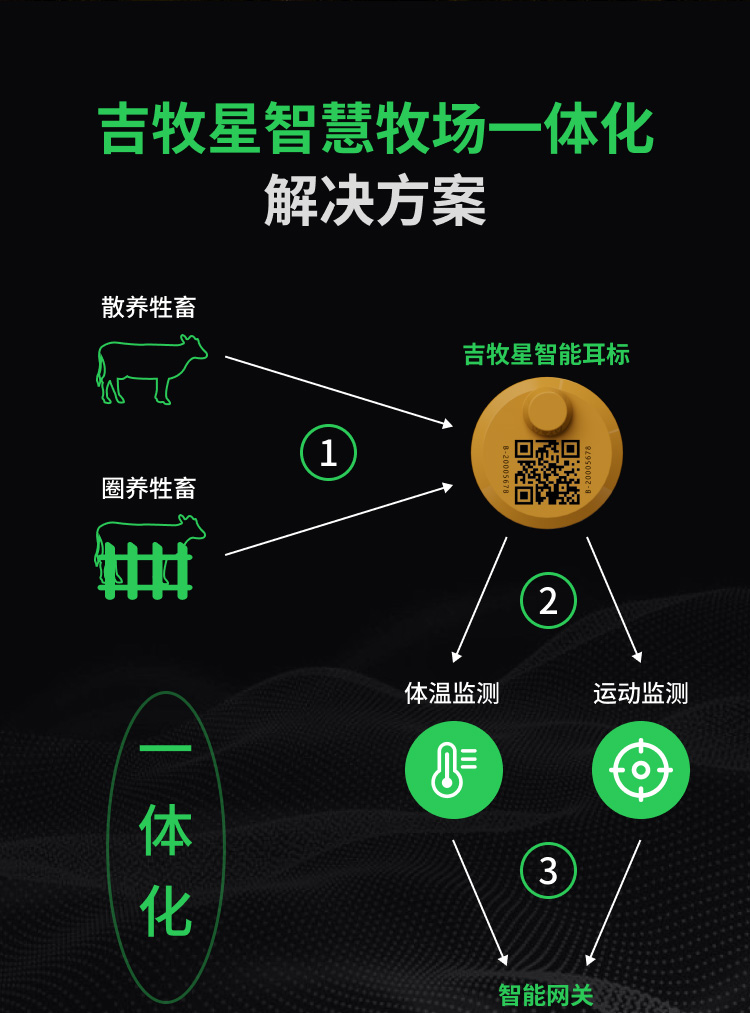 解决方案详情页_06.jpg